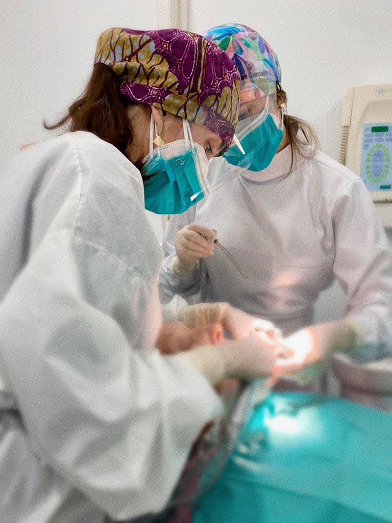 implantes dentales